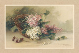 Lilas