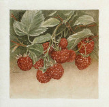 Framboises