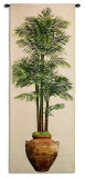Potted Palm II