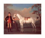 The Duke of Cumberland's Crab