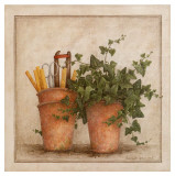 Lierre et Pots II
