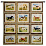 Sporting Dogs
