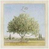 Arbre en Été