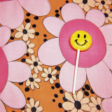 Happy Face Lollipop on Retro Flowers