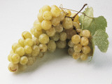 Close-Up of a Bunch of Grapes