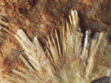 Close-Up of Uranophane Rock