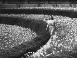 Woman Walking on Flowerbed  (B&W)