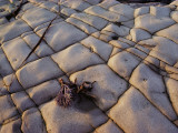 Stone Patterns Create Textured Scenery