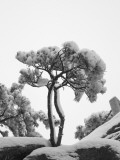 China  Anhui Province  Mt