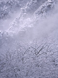 China  Anhui Province  Mt