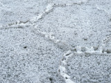 Salt Cystals on Valley Floor