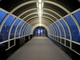 Tunnel Vision