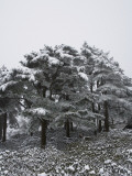 China  Anhui Province  Mt