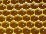 Honeycomb