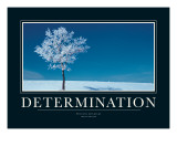 Determination