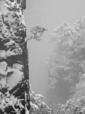 China  Anhui Province  Mt