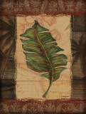 Tropical Leaf I