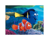 Searching For Nemo