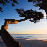 Carmel Sunset I