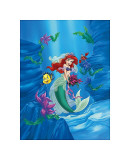 Ariel: Dreams Under the Sea