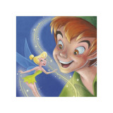 Tinker Bell and Peter Pan: A Touch of Magic (detail)