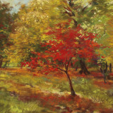 Autumn Trail