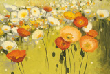 Spring Confetti