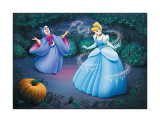 Bibbidi-Bobbidi-Boo