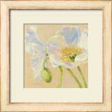 White Poppies I
