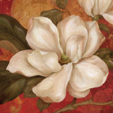 Magnolia on Red II
