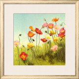 Meadow Suite I