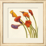 Callas in the Wind II