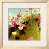 Meadow Suite II