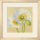 White Poppies III
