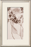 Eucalyptus II