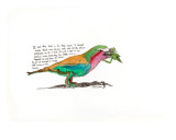Lilac Breasted Roller