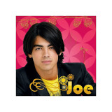 Jonas Brothers: Joe
