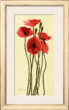 Pavots Rouge II