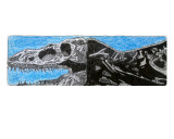 Dinosaur Skeleton