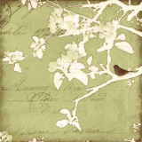 Song Birds I