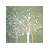 Quiet Forest