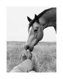 Partners