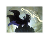 Maleficent's Fury