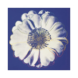 Flower for Tacoma Dome  c1982 (Blue and White)