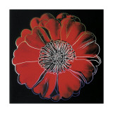 Flower For Tacoma Dome  c1982 (Black and Red)