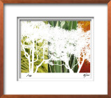 Rainforest Life II