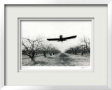 Untitled - Flying Plane