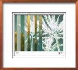 Tropical Variation II