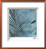 Sunset Palms III