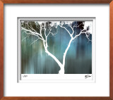 Zen Forest I